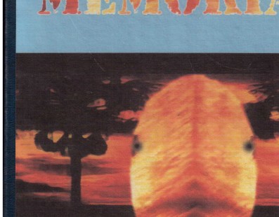 Memoria -Jornada XIII (2007)